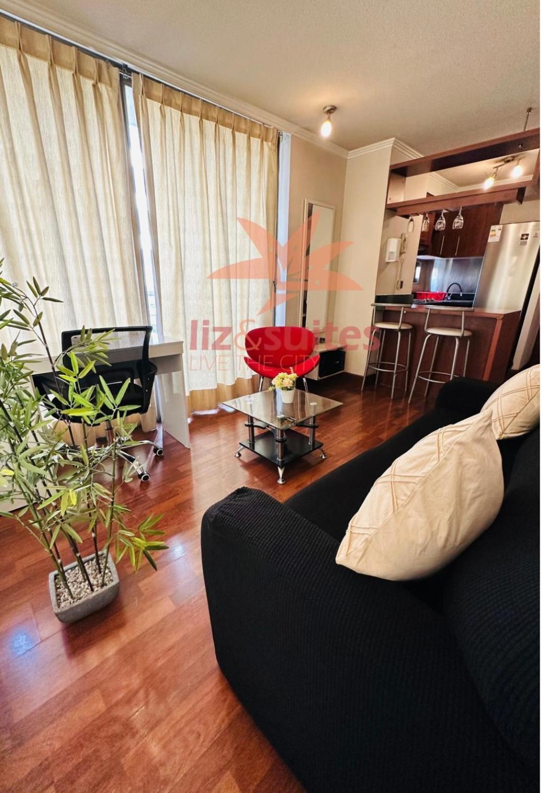 Apartment Inmejorable Ubicacion, Sector Turistico Y Ejecutivo Providencia