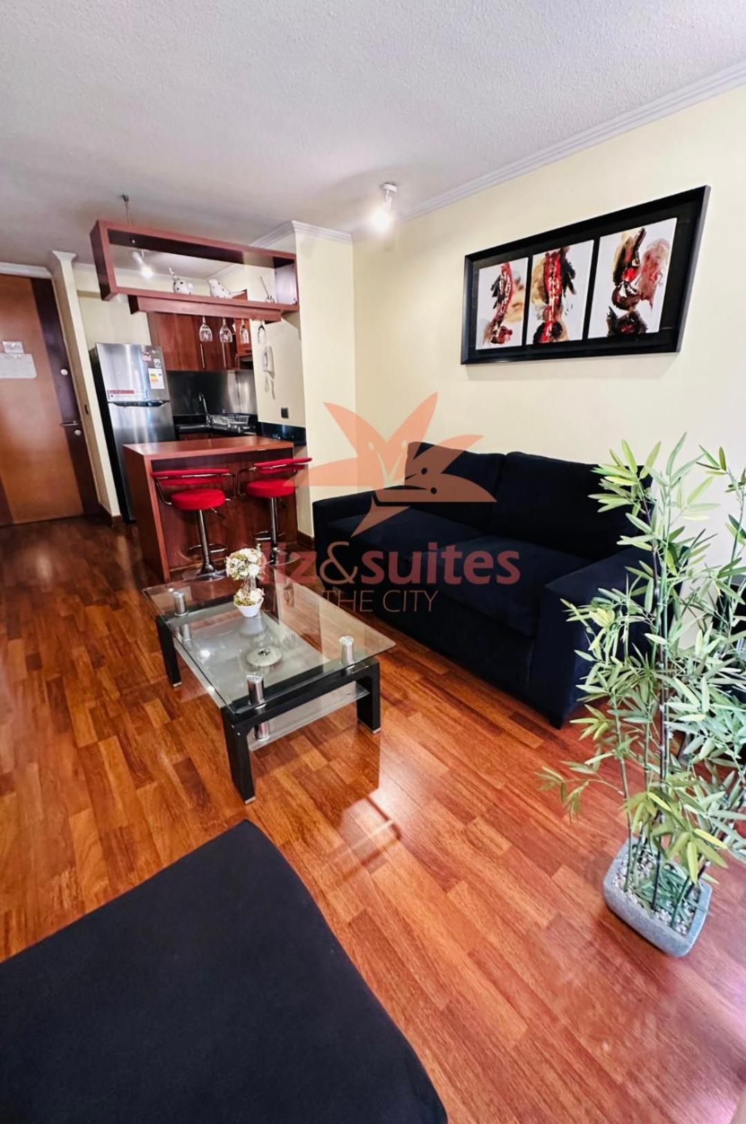 Inmejorable Ubicacion, Sector Turistico Y Ejecutivo Providencia Apartment Santiago